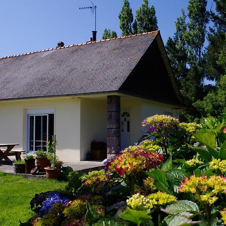 بلوها Chatelet Camelot المظهر الخارجي الصورة